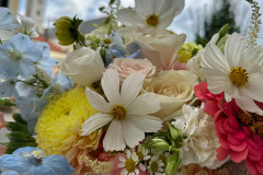 IMG-20240809-WA0018