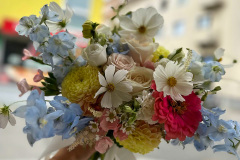 IMG-20240809-WA0021