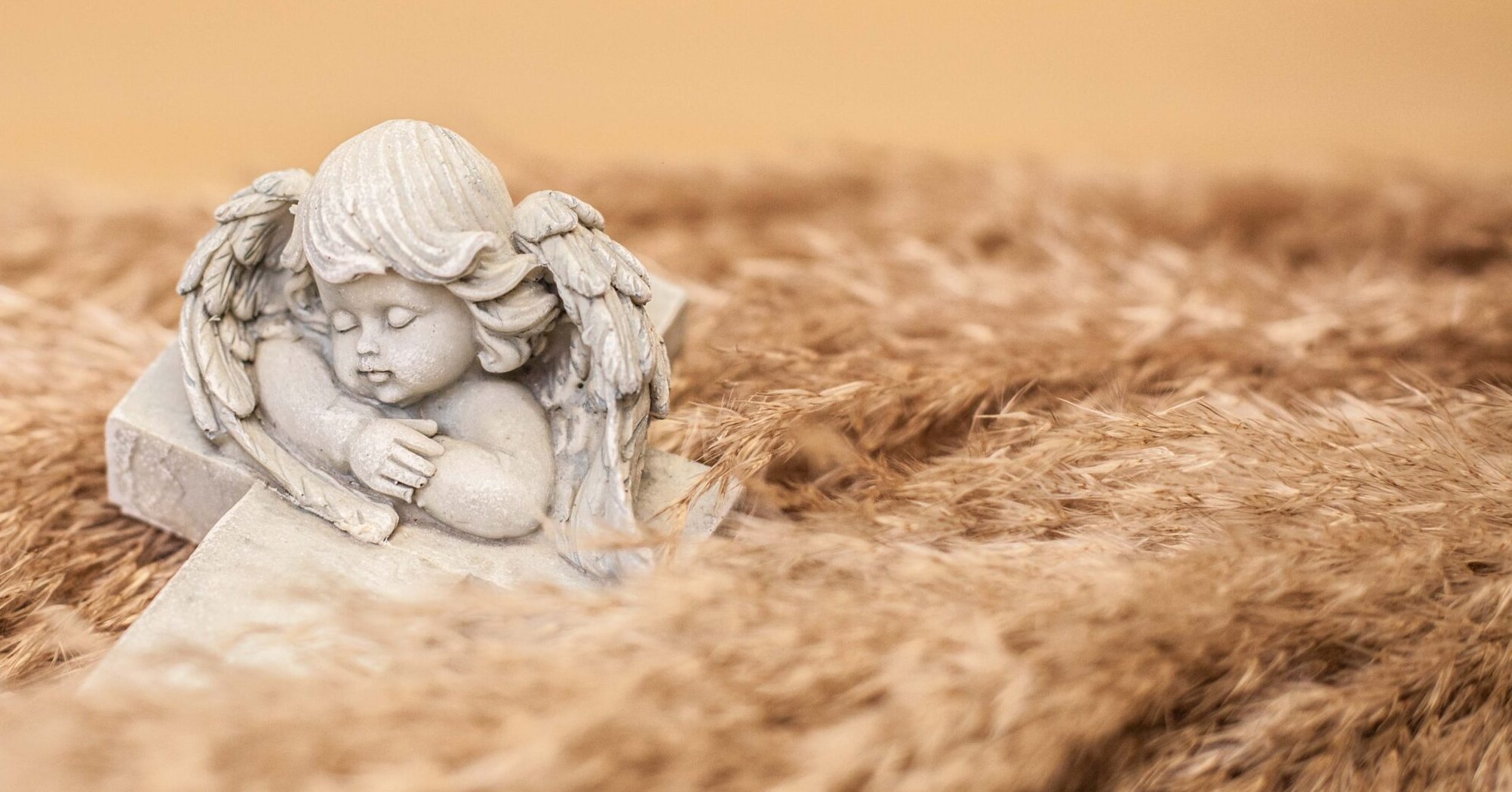 Image Slider